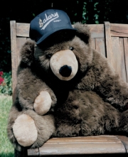 bear bear